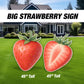BIG Strawberry cutouts, prop decoration Babyshower berry Sweet One, strawberry themed Birthday Party Decor, first birthday, yard lawn sign - EzCutoutz